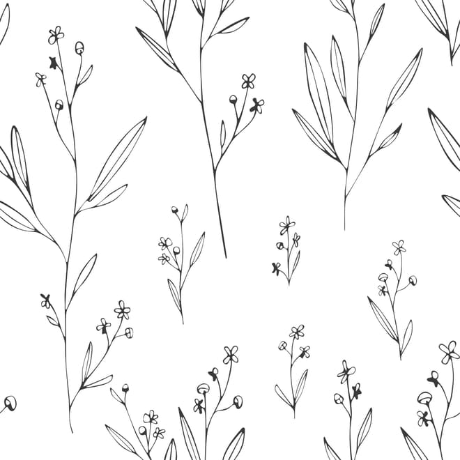 Minimal and Modern Field Plants Art Wallpaper Mural