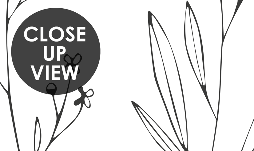Minimal and Modern Field Plants Art Wallpaper Mural