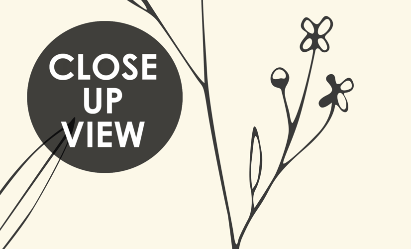 Minimal and Modern Field Plants Art Wallpaper Mural