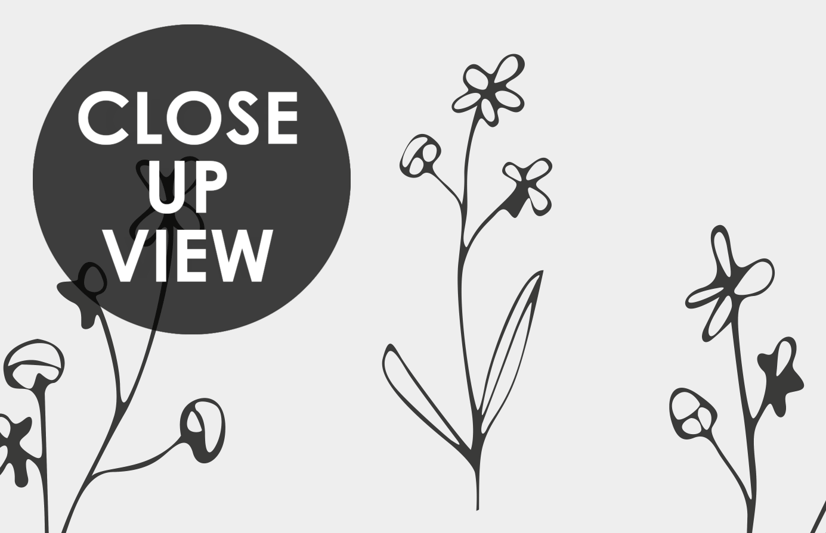 Minimal and Modern Field Plants Art Wallpaper Mural