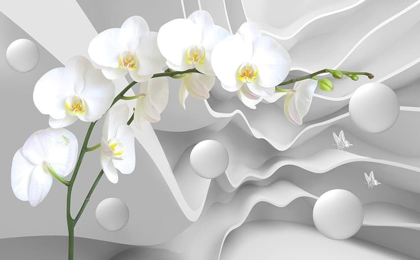 Papier peint floral d'orchidées blanches avec rayures abstraites