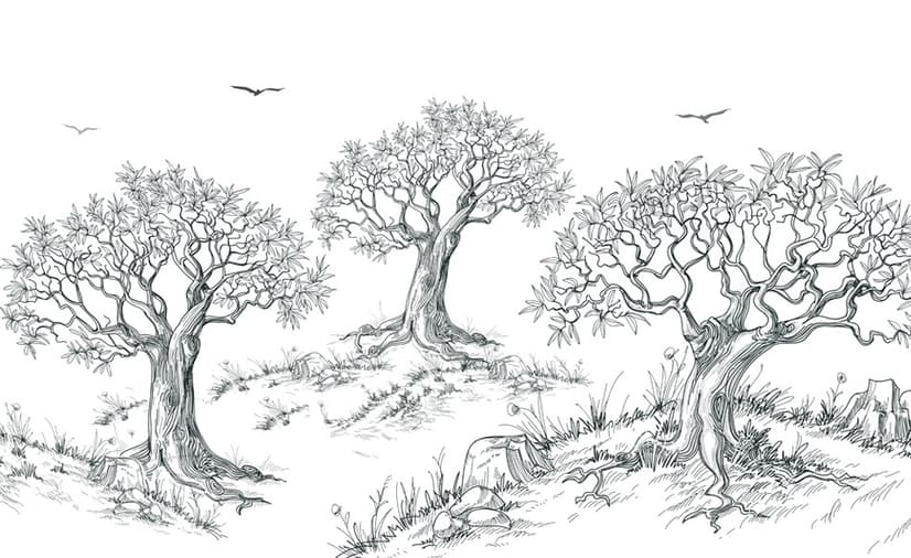 Papier peint panoramique dessin d’arbres au fusain