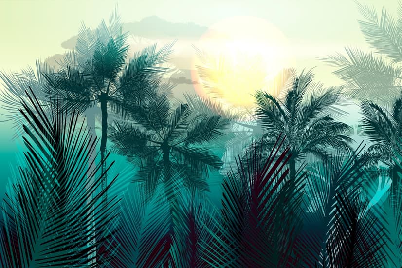 Tropical Palm Forest Wallpaper Mural