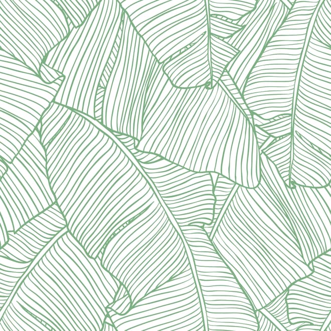 Abstract Lines Palm Leaves Wallpaper Mural