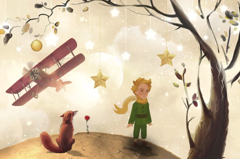 Kids Little Prince Wallpaper Mural