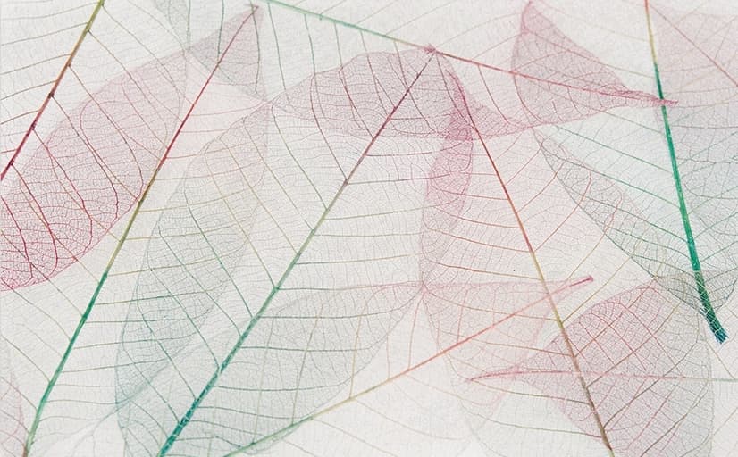 Papier peint panoramique nervures de feuilles roses
