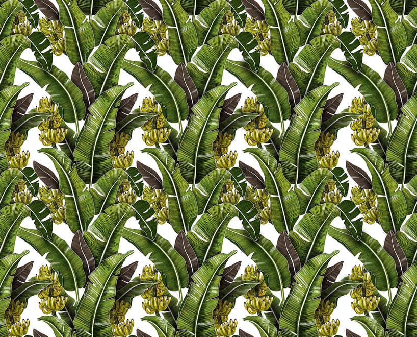 Green Banana Leaves Wallpaper Mural