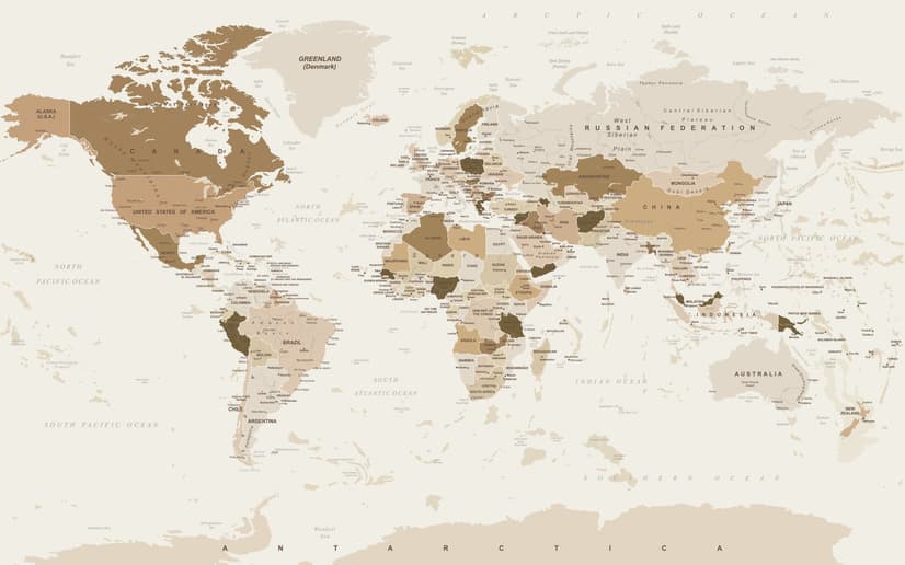 Brown Political Map Wallpaper Mural