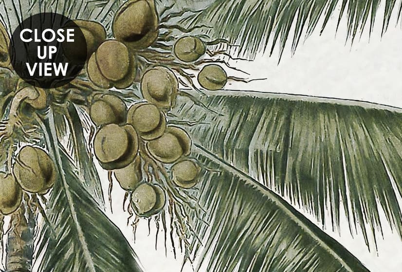 Tropical Nature Landscape with Birds Wallpaper Mural