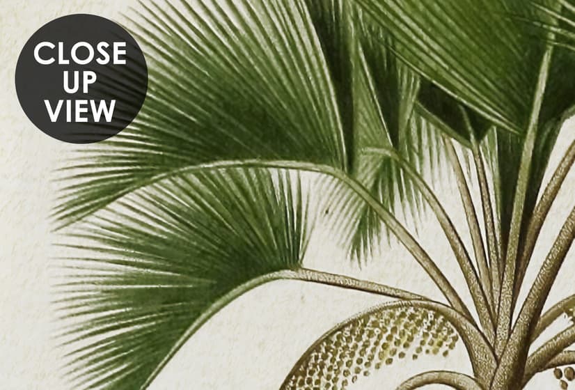 Kids Wild Tropical Animals with Palm Trees Wallpaper Mural