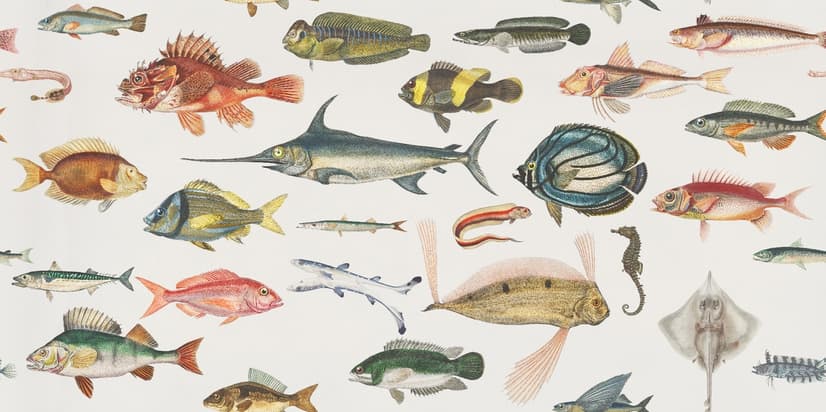 Vintage Style Aqua Fish Art Wallpaper Mural