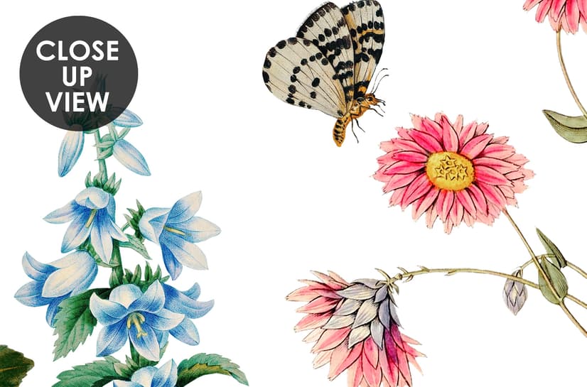 Papier peint fleurs botaniques oiseaux