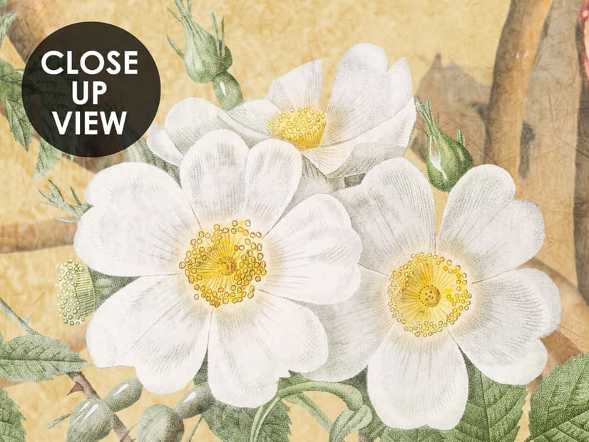 Chinoiserie Peony Tree Wallpaper Mural