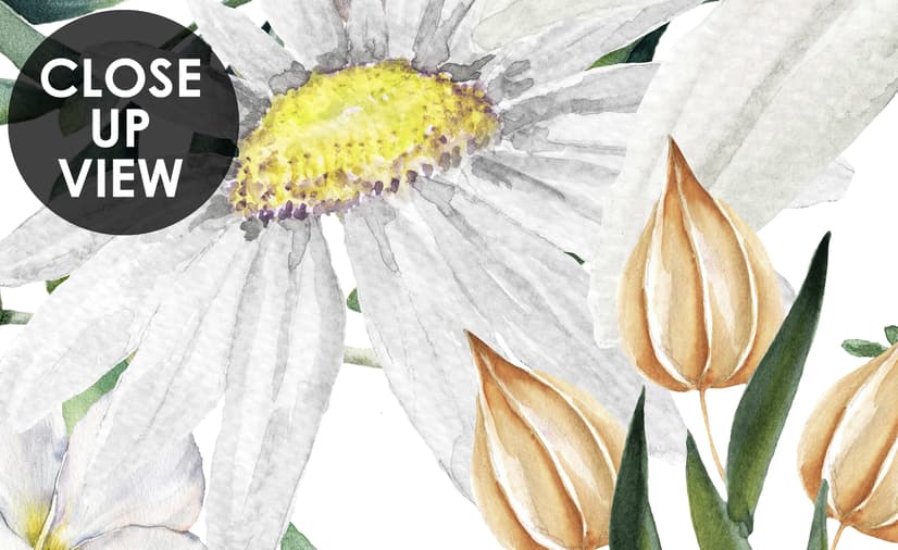 Bright Daisy Flower Bouquet with Green Leaves Wallpaper Mural