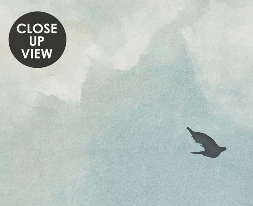 Abstract Clouds with Birds Wallpaper Mural