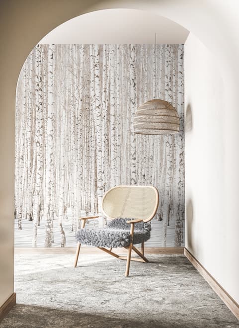 Birch Tree Forest in Winter Wallpaper Mural