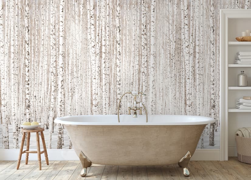 Birch Tree Forest in Winter Wallpaper Mural