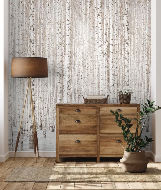 Birch Tree Forest in Winter Wallpaper Mural