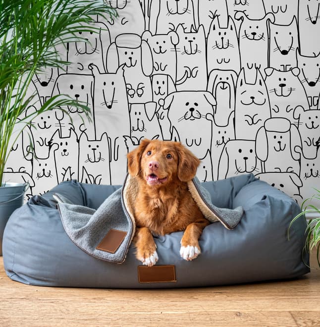 Cute Dog Face Pattern for Kids Wallpaper Mural