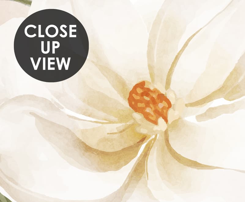 Soft Magnolia Floral Wallpaper Mural