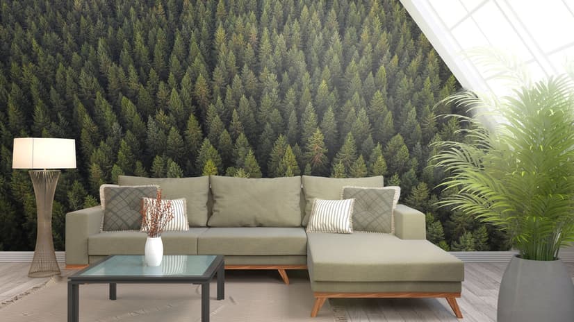 Pine Forest Landscape Wallpaper Mural
