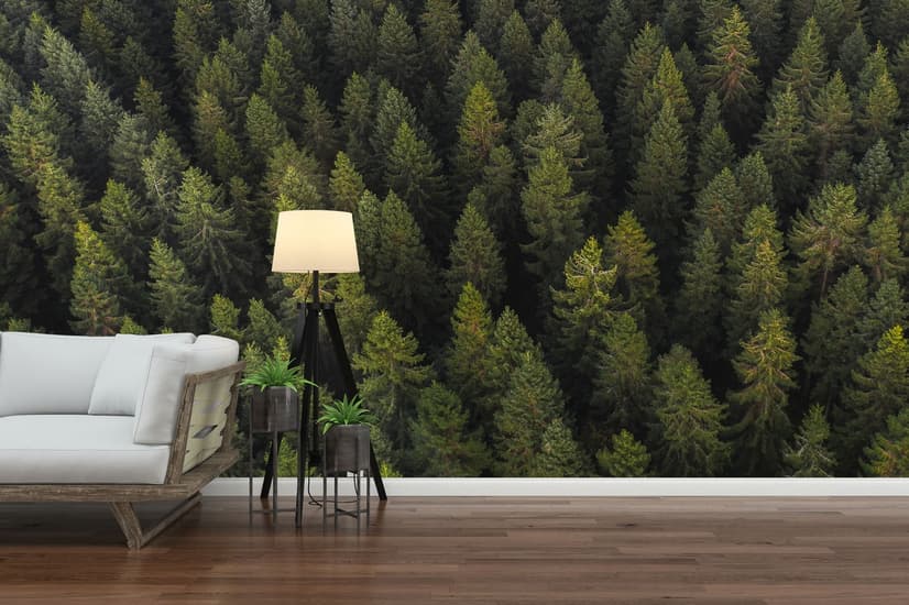 Pine Forest Landscape Wallpaper Mural