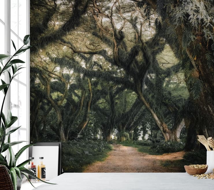 Papier peint racines arbres