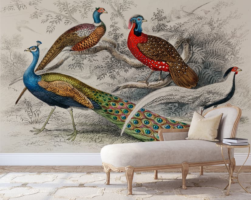 Historische Vintage-Pfau-Fototapete