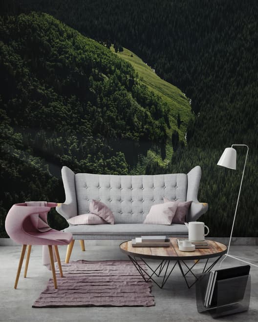 Papier peint panoramique vue aérienne de forêt naturelle sur les montagnes
