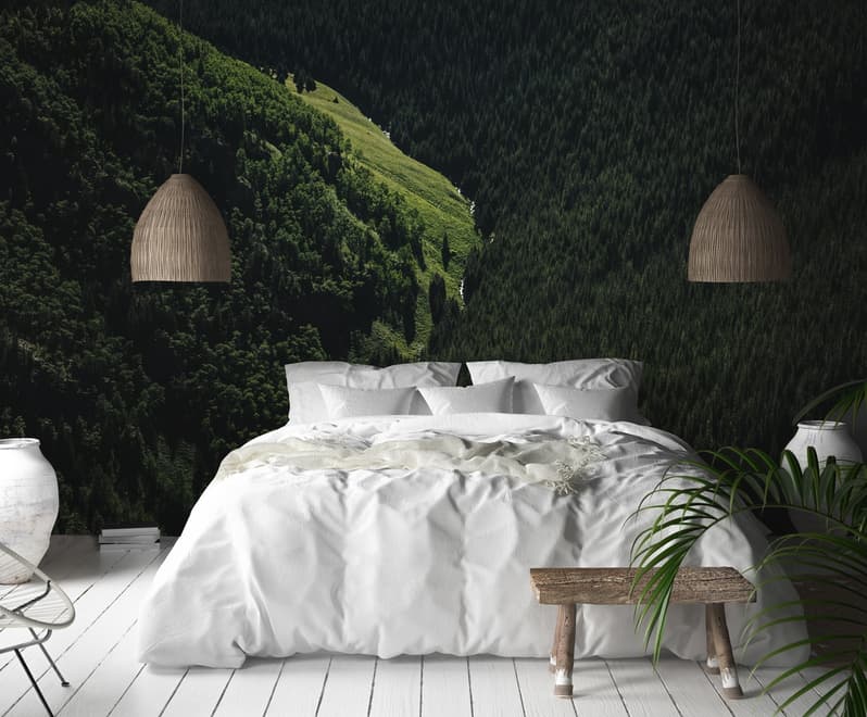 Papier peint panoramique vue aérienne de forêt naturelle sur les montagnes