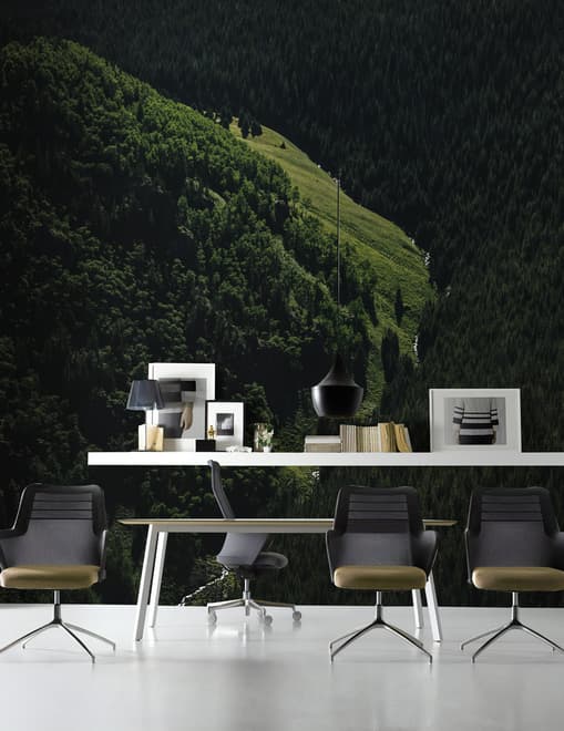 Papier peint panoramique vue aérienne de forêt naturelle sur les montagnes