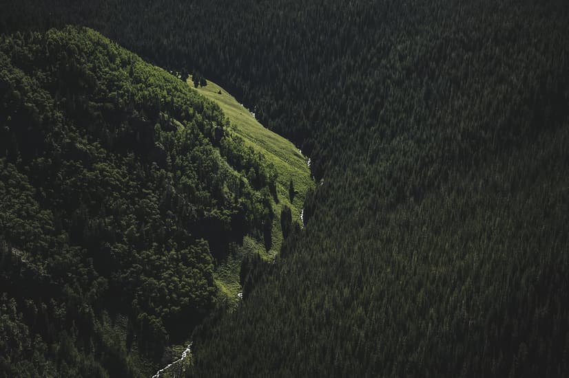 Papier peint panoramique vue aérienne de forêt naturelle sur les montagnes