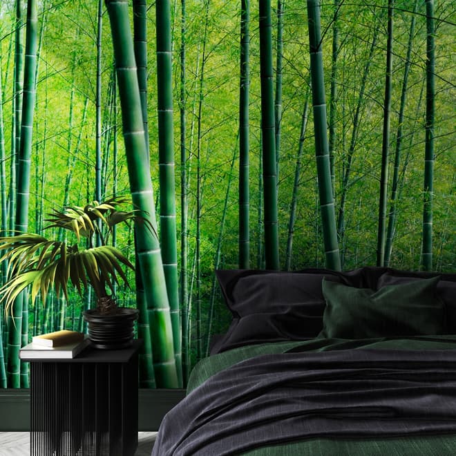 Bamboo Forest Wallpaper Mural