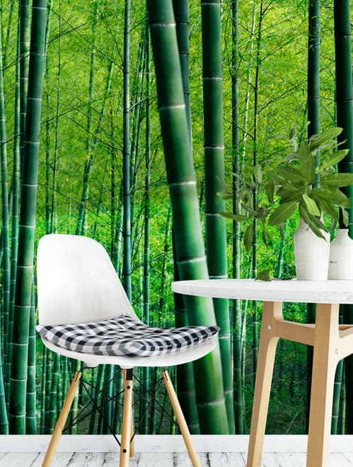 Bamboo Forest Wallpaper Mural