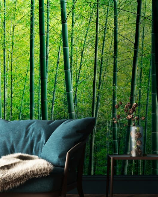 Bamboo Forest Wallpaper Mural