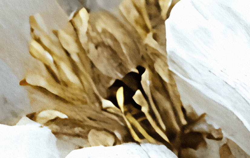 Papier peint panoramique floral pivoine peinture à l'huile vintage 