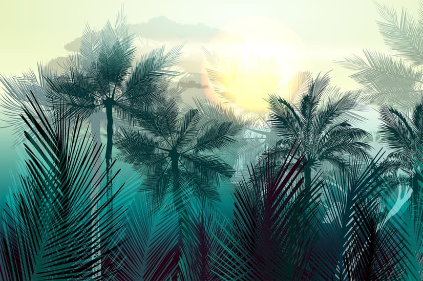 Tropical Palm Trees and Sunlight Wallpaper Mural