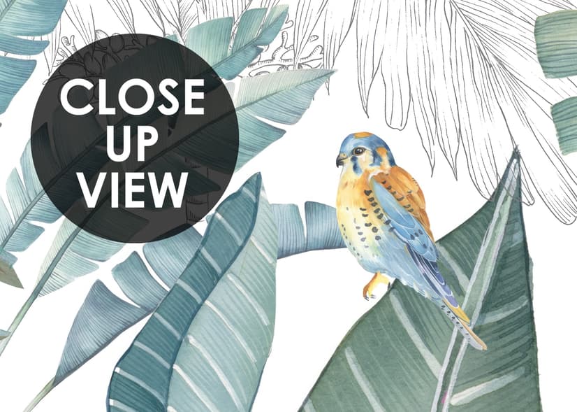 Papier peint feuille banane tropicale oiseau