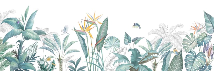 Papier peint feuille banane tropicale oiseau