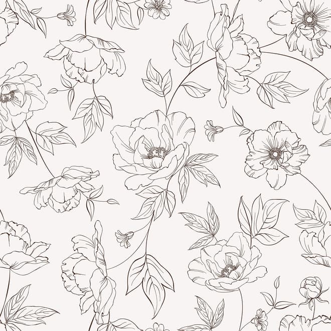 Poppy Drawing Floral Wallpaper Mural