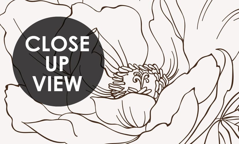 Poppy Drawing Floral Wallpaper Mural