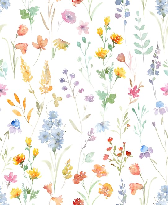 Watercolor Colorful Botanical Wild Flower Wallpaper Mural