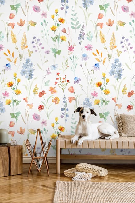 Watercolor Colorful Botanical Wild Flower Wallpaper Mural
