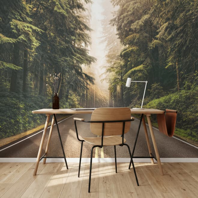 Highway on the Forest Landscape Wallpaper Mural