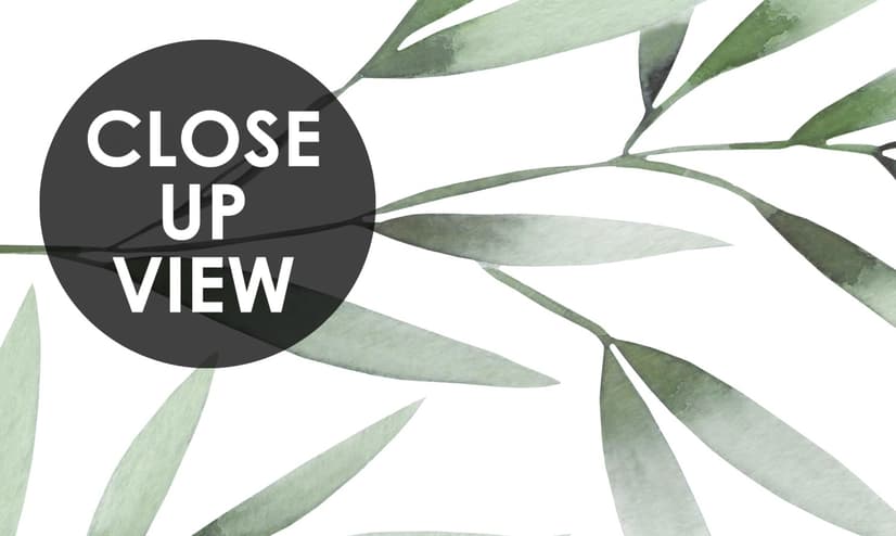 Watercolor Green Olive Leaves Pattern Wallpaper Mural