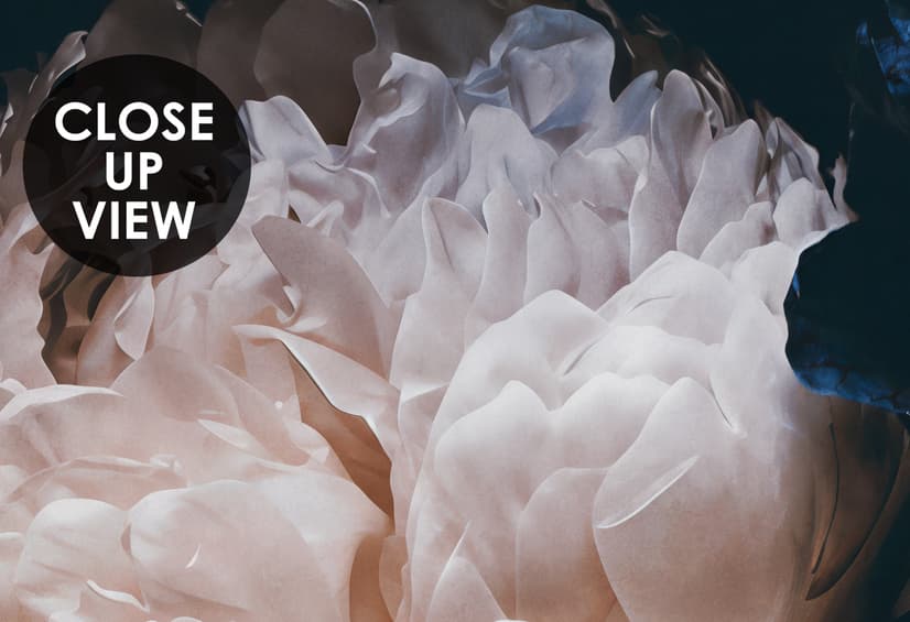 Dark Floral Peony Bouquet Wallpaper Mural