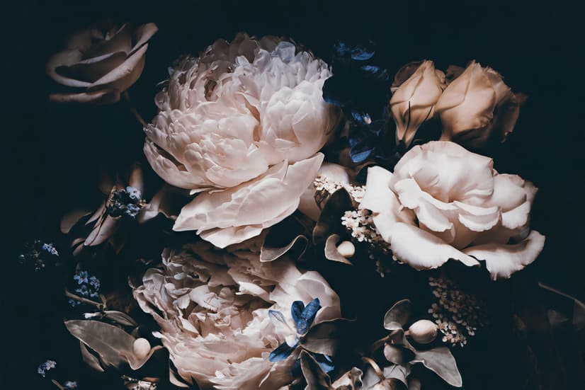 Dark Floral Peony Bouquet Wallpaper Mural