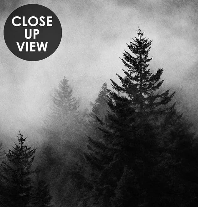 Misty Dark Forest Landscape Wallpaper Mural