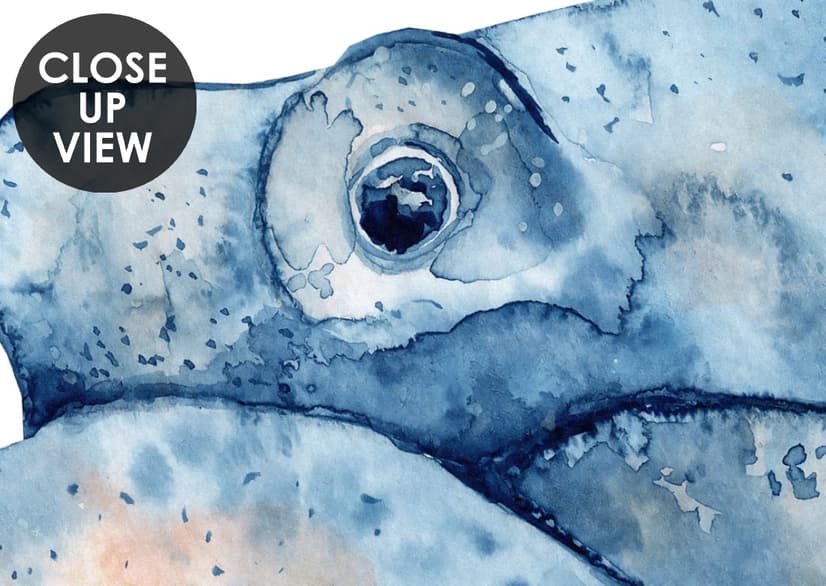 Kinder Unterwasser Tiere Wandtattoo