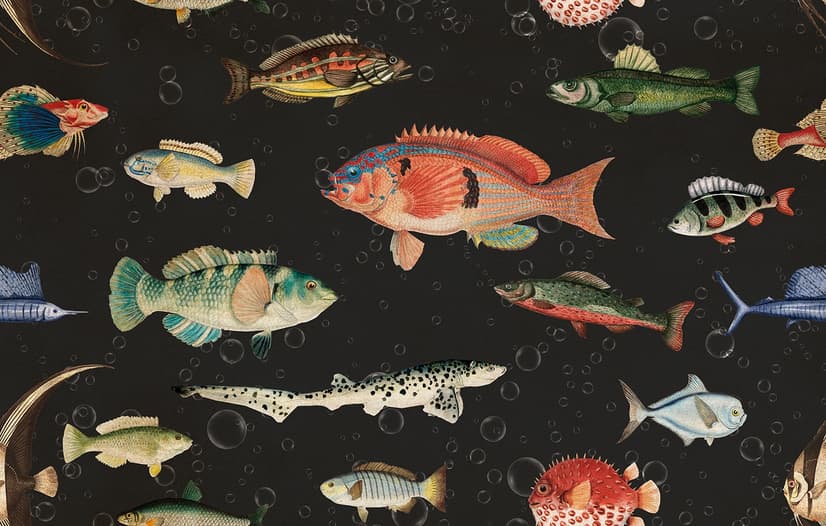 Vintage Ocean Fish Art Wallpaper Mural